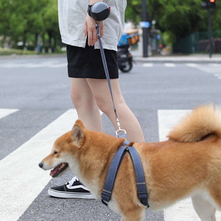 3m Automatic Retractable Wrist-style Pet Nylon Leash(Gray)