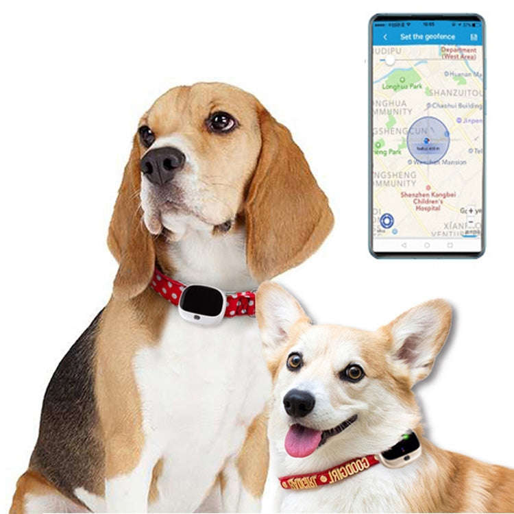 RF-V43 A Style IP67 Waterproof GPS + LBS + WiFi Pet Locator Pet Collar Tracking Device For Asia/E...