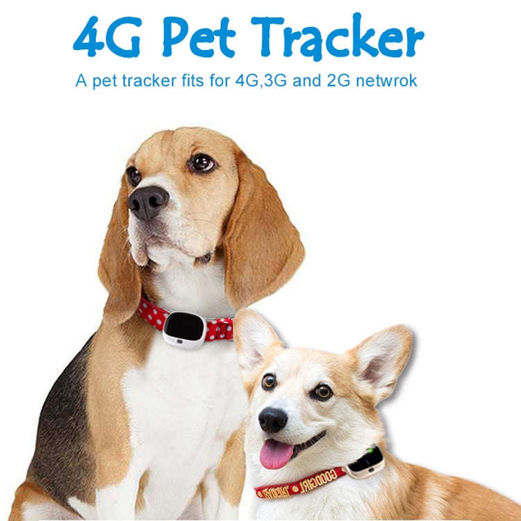 RF-V43 A Style IP67 Waterproof GPS + LBS + WiFi Pet Locator Pet Collar Tracking Device For Asia/E...