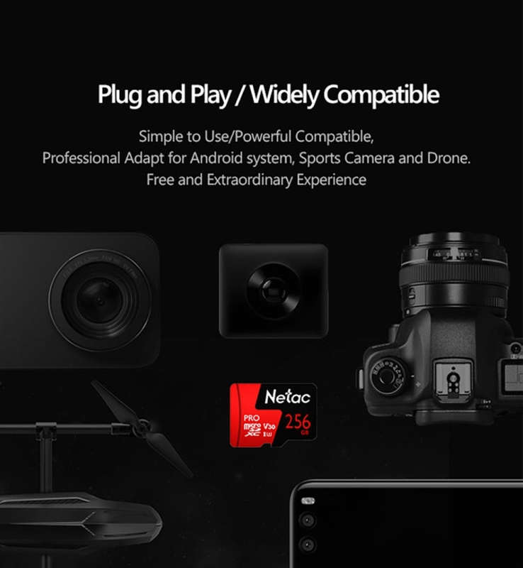 Netac P500 PRO 256GB U3 Speed Level Automobile Data Recorder Monitor Camera Memory Card TF Card