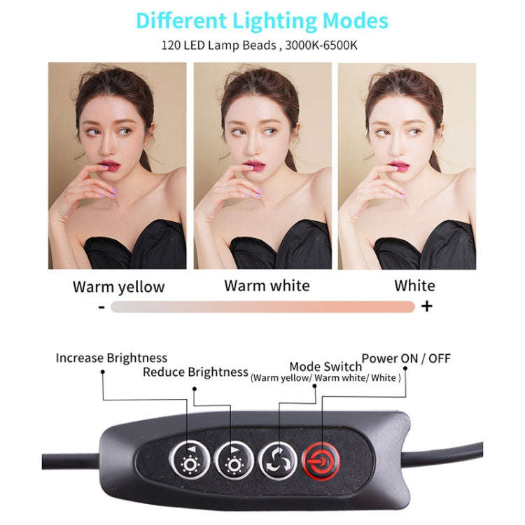 JSK-B1 USB Portable Ten-level Brightness Adjustable Live Conference Desktop LED Fill Light, Color...