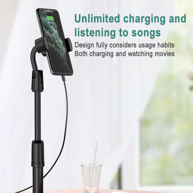Desktop Stand Mobile Phone Tablet Live Broadcast Stand Telescopic Disc Stand, Style:Holder + Remo...