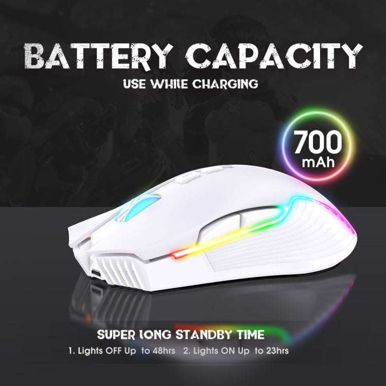 ONIKUMA CW905 2.4G RGB Lighting Wireless Mouse (Grey White)