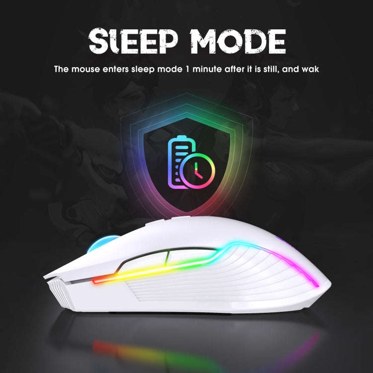 ONIKUMA CW905 2.4G RGB Lighting Wireless Mouse (Grey White)