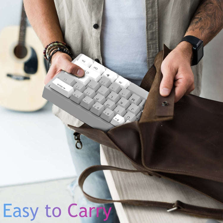 AULA F3261 Type-C Wired Hot Swappable 61 Keys RGB Mechanical Keyboard(White Grey Green Shaft)