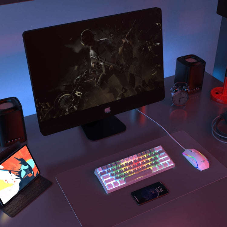 AULA F3261 Type-C Wired Hot Swappable 61 Keys RGB Mechanical Keyboard(Black Grey Tea Shaft)