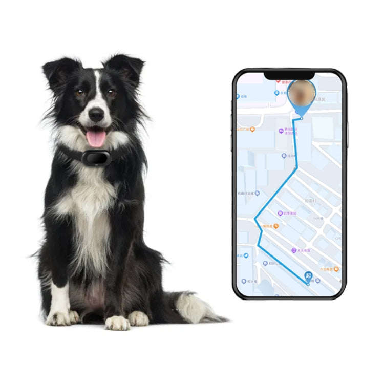 V41 Smart GPS Tracker IP67 Waterproof Pet Anti-loss Positioner, Version:2G Version(Black)