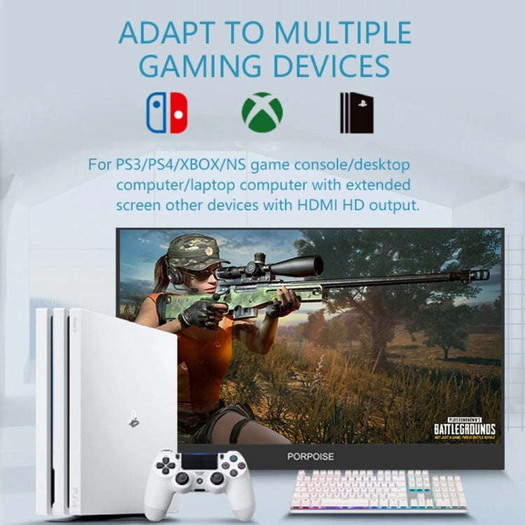 17.3 inch FHD 1920x1080P IPS Screen Portable Monitor(No Charger)