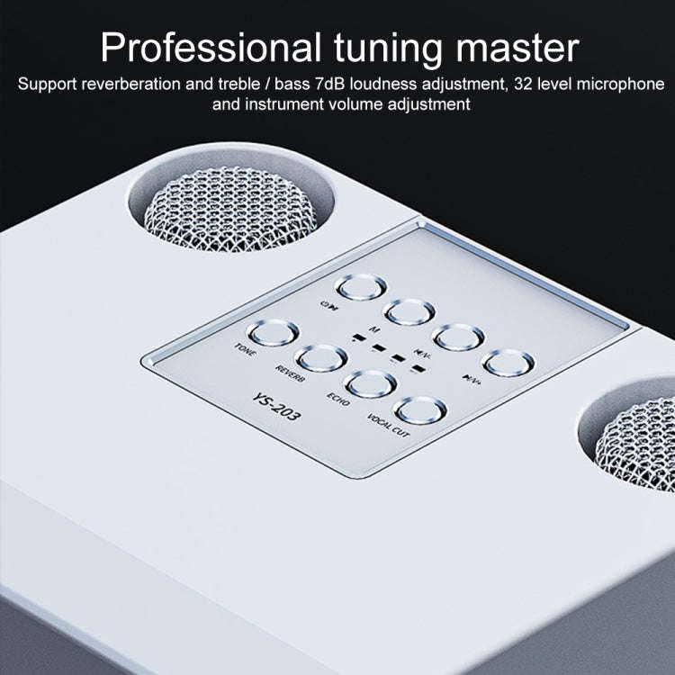 YS-203 Bluetooth Karaoke Speaker Wireless Microphone(Black)