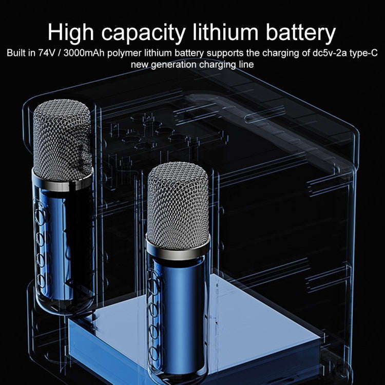 YS-203 Bluetooth Karaoke Speaker Wireless Microphone(Black)