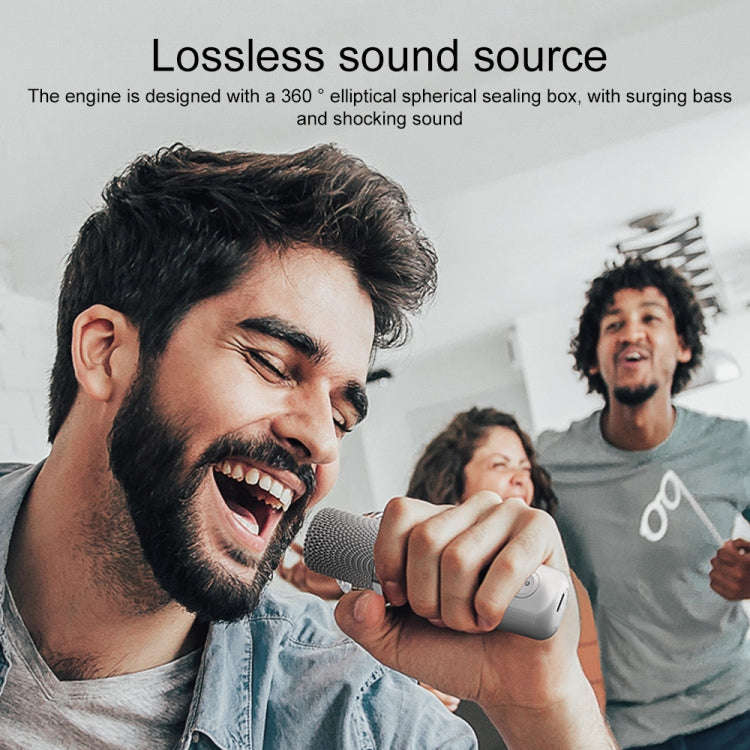 YS-203 Bluetooth Karaoke Speaker Wireless Microphone(Red)