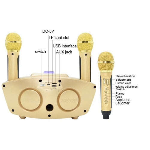SD-306 2 in 1 Family KTV Portable Wireless Live Dual Microphone + Bluetooth Speaker(Black)