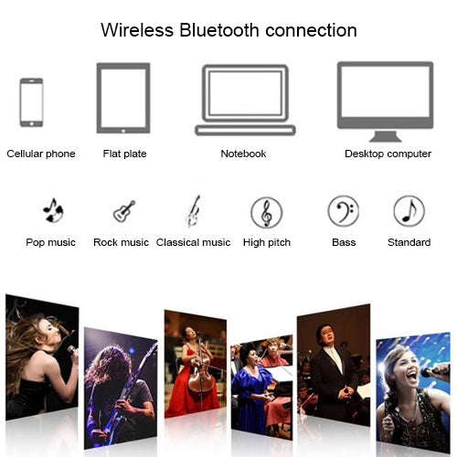 SD-306 2 in 1 Family KTV Portable Wireless Live Dual Microphone + Bluetooth Speaker(Black)