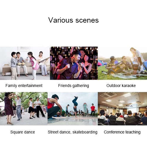 SD-306 2 in 1 Family KTV Portable Wireless Live Dual Microphone + Bluetooth Speaker(Black)