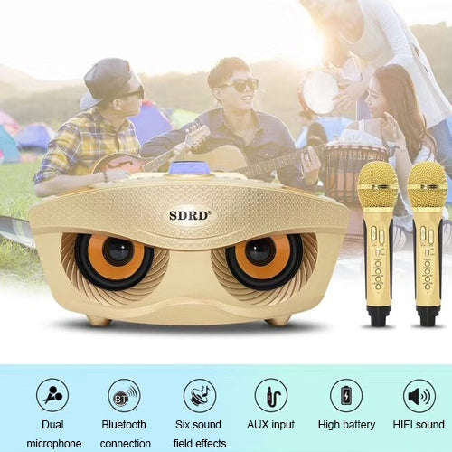 SD-306 2 in 1 Family KTV Portable Wireless Live Dual Microphone + Bluetooth Speaker(Black)