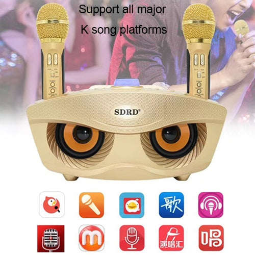 SD-306 2 in 1 Family KTV Portable Wireless Live Dual Microphone + Bluetooth Speaker(Black)