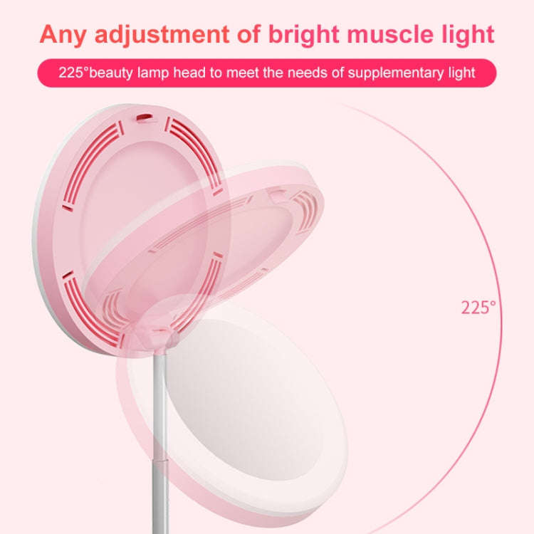 G6 Multi-function Live Broadcast All-in-one Ring Beauty Fill Light Mobile Phone Holder (Black)