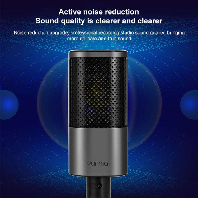 Yanmai X2 Active Noise Reduction Cardioid Pointing Capacitive Recording Microphone Set with Blowo...