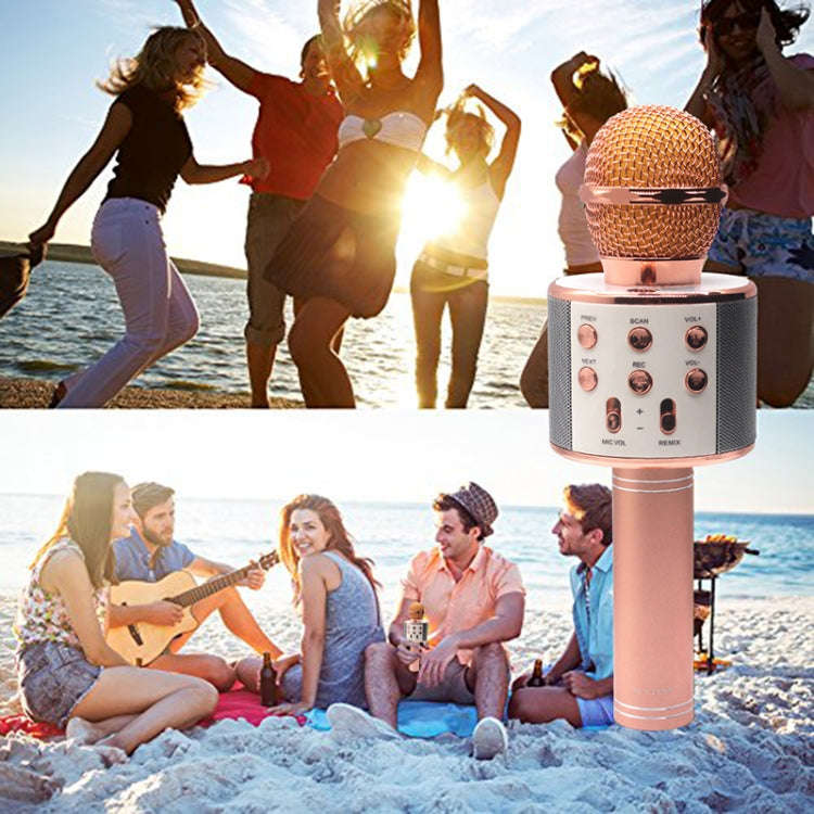 WS-858 Metal High Sound Quality Handheld KTV Karaoke Recording Bluetooth Wireless Microphone, for...