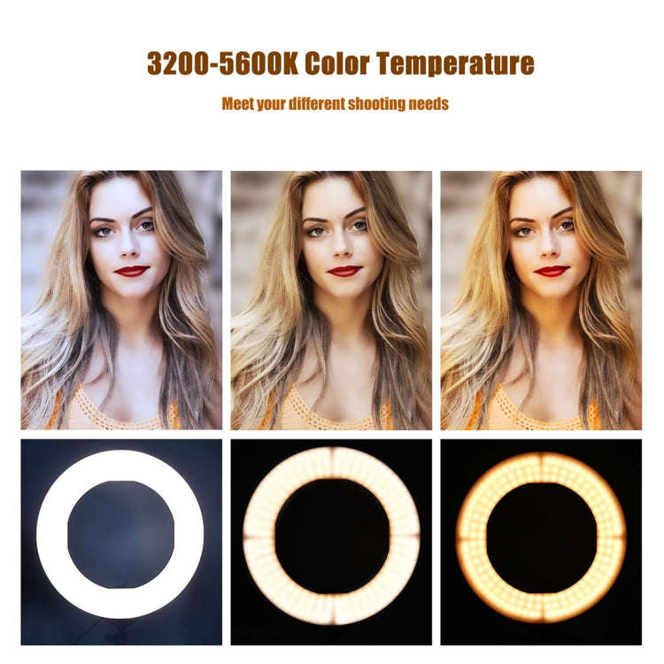 MANTOO RL-12 II 100-240V 28W 12 inch Two-color Dimmable Ring Fill Light with Tripod
