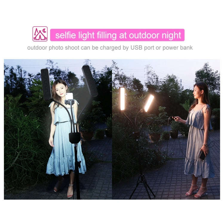 RK39 Portable Tri-color Adjustable Brightness Double Arms Fill Light with Phone Clip(Black)