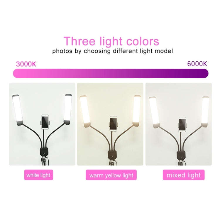 RK39 Portable Tri-color Adjustable Brightness Double Arms Fill Light with Phone Clip(Black)