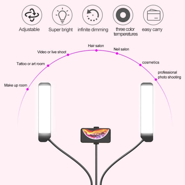 RK39 Portable Tri-color Adjustable Brightness Double Arms Fill Light with Phone Clip(Black)