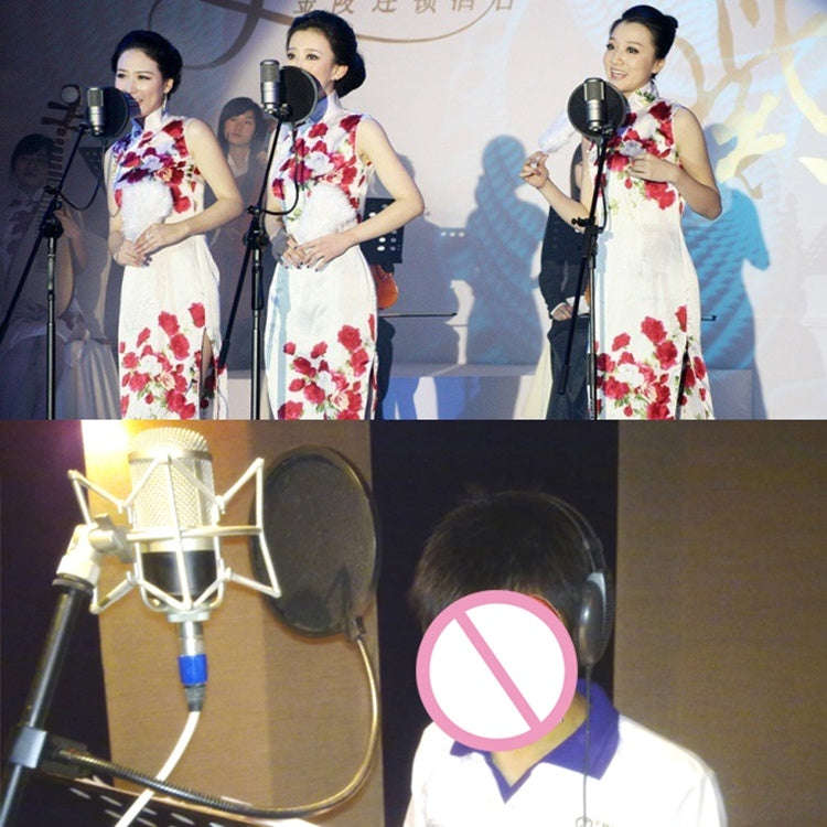Double-layer Recording Microphone Studio Wind Screen Pop Filter Mask Shield with Clip Stabilizing...