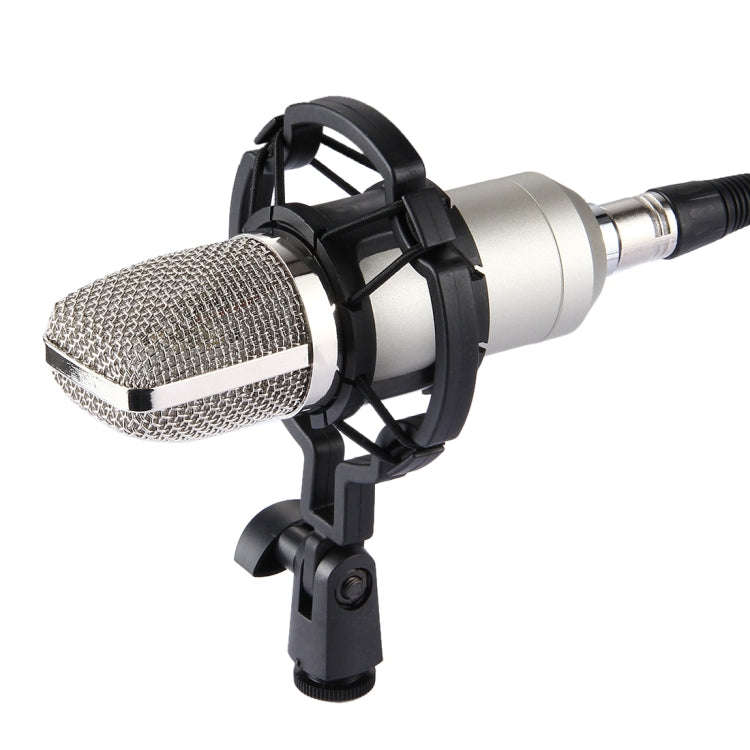 FIFINE F-700 Professional Condenser Sound Recording Microphone with Shock Mount for Studio Radio ...