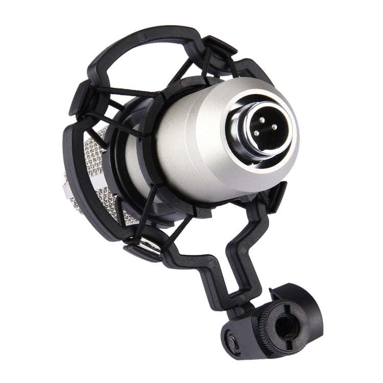 FIFINE F-700 Professional Condenser Sound Recording Microphone with Shock Mount for Studio Radio ...