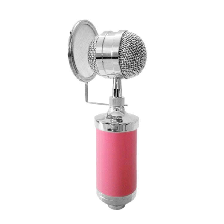 3000 Home KTV Mic Condenser Sound Recording Microphone with Shock Mount & Pop Filter for PC & Lap...