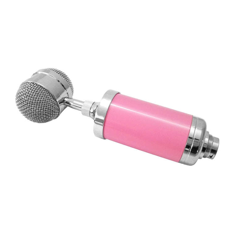 3000 Home KTV Mic Condenser Sound Recording Microphone with Shock Mount & Pop Filter for PC & Lap...