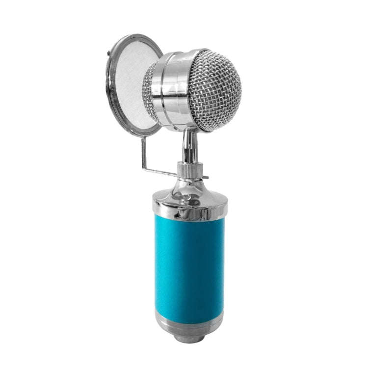 3000 Home KTV Mic Condenser Sound Recording Microphone with Shock Mount & Pop Filter for PC & Lap...