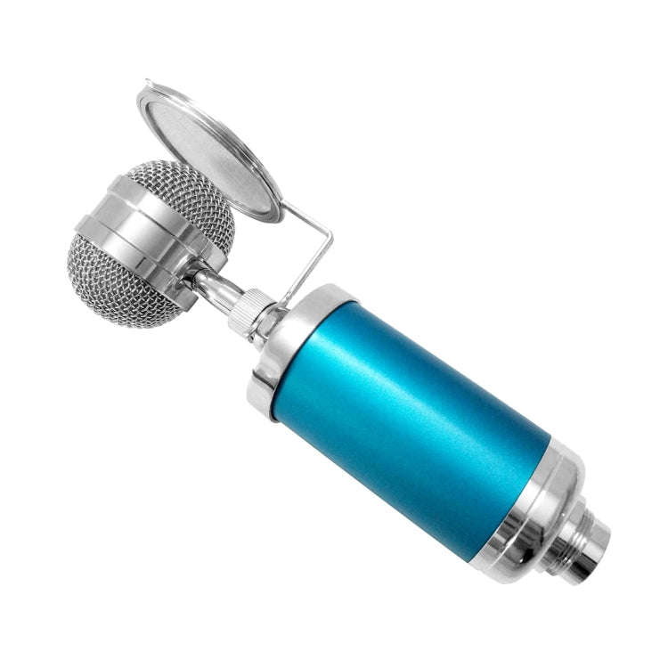 3000 Home KTV Mic Condenser Sound Recording Microphone with Shock Mount & Pop Filter for PC & Lap...