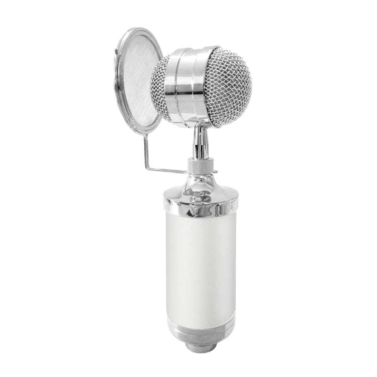 3000 Home KTV Mic Condenser Sound Recording Microphone with Shock Mount & Pop Filter for PC & Lap...