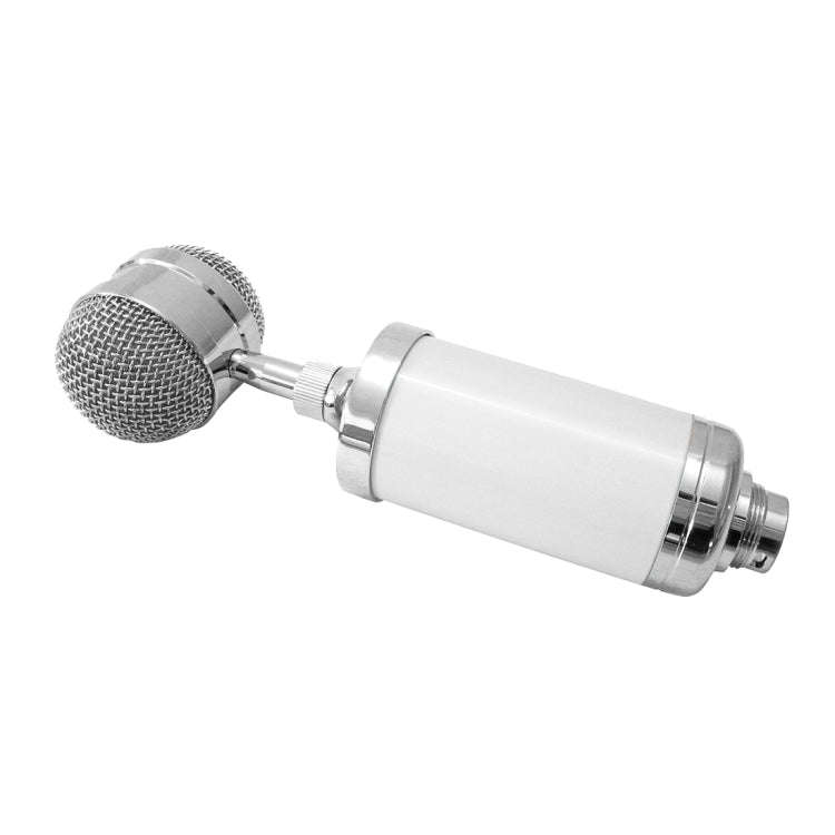 3000 Home KTV Mic Condenser Sound Recording Microphone with Shock Mount & Pop Filter for PC & Lap...