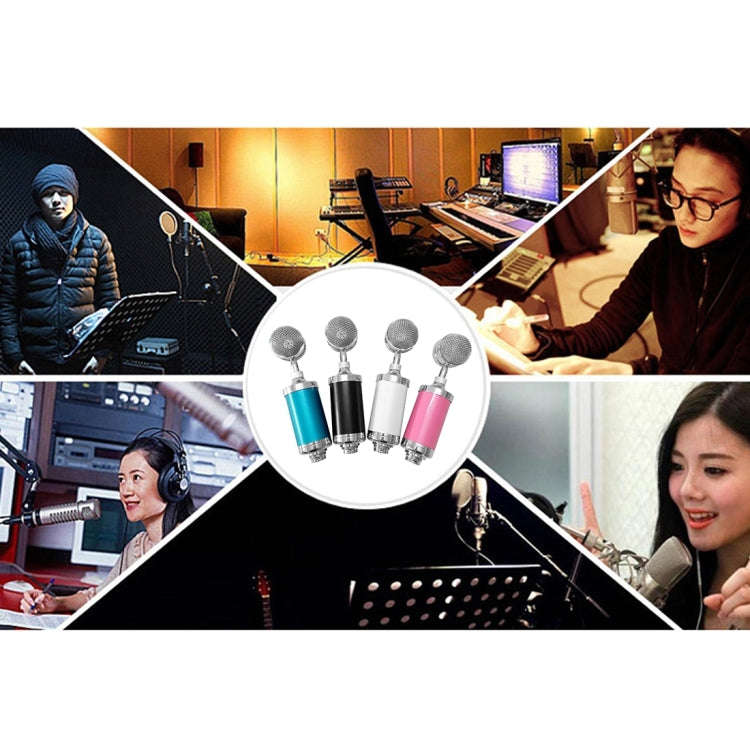 3000 Home KTV Mic Condenser Sound Recording Microphone with Shock Mount & Pop Filter for PC & Lap...
