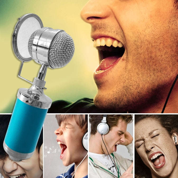 3000 Home KTV Mic Condenser Sound Recording Microphone with Shock Mount & Pop Filter for PC & Lap...