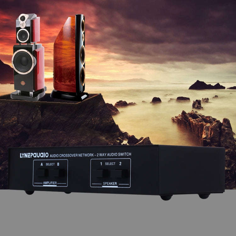 B822 Passive Speaker Switch 2 Channel Power Amplifier Audio Switch Loudspeaker,  2 Input and 2 Ou...