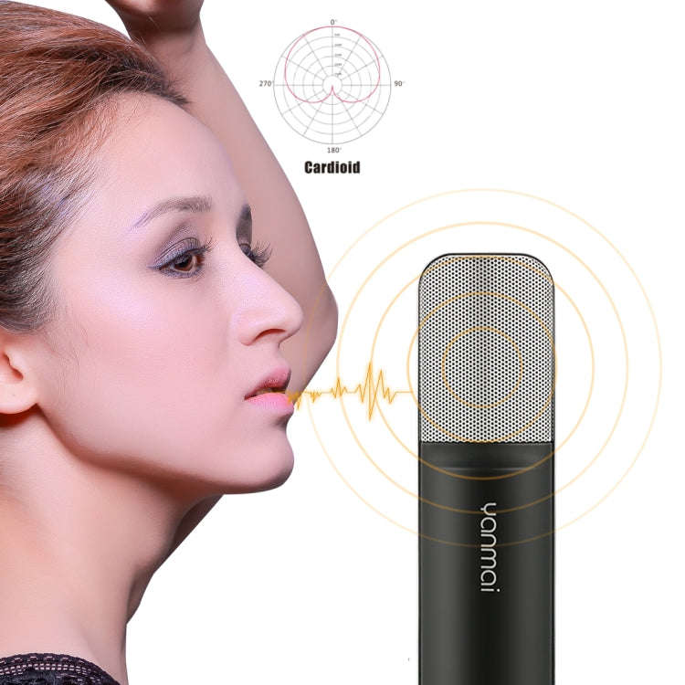 Yanmai Q8 Professional Game Condenser Sound Recording Microphone with Holder, Compatible with PC ...