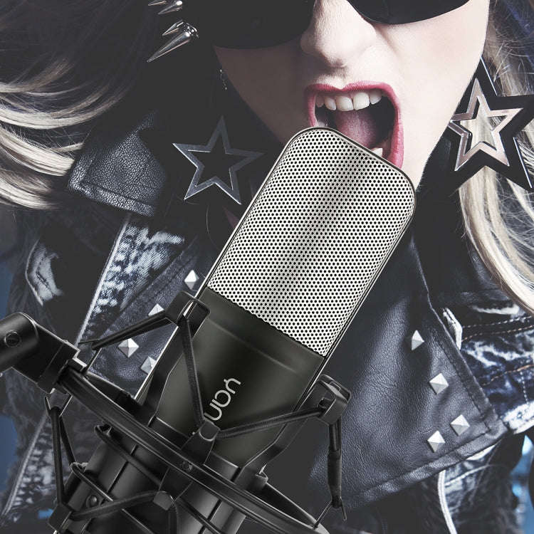 Yanmai Q8 Professional Game Condenser Sound Recording Microphone with Holder, Compatible with PC ...