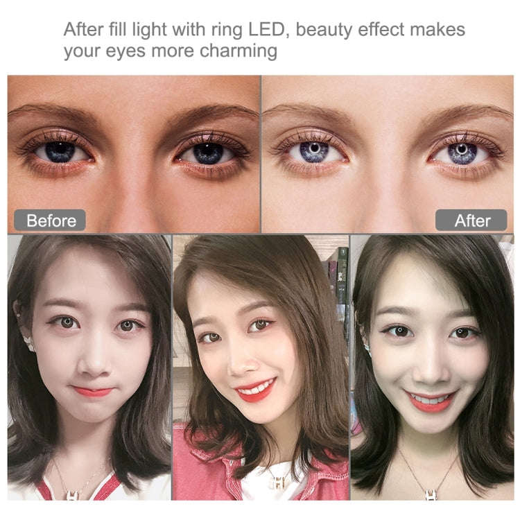 PULUZ 10.2 inch 26cm Curved Surface RGBW LED Ring Light + 1.1m Tripod Mount + Dual Phone Brackets...