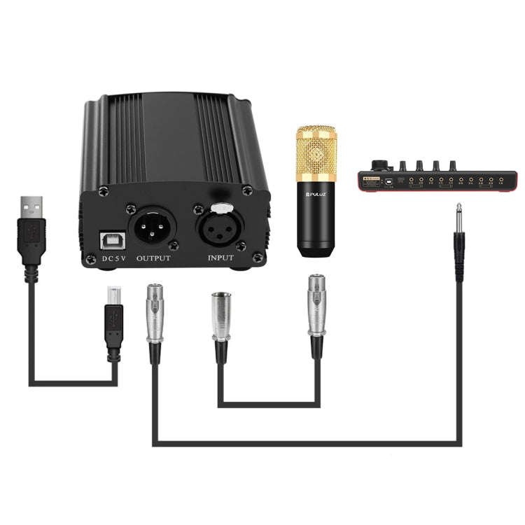PULUZ Condenser Microphone Studio Broadcast Professional Singing Microphone Kits with Suspension ...