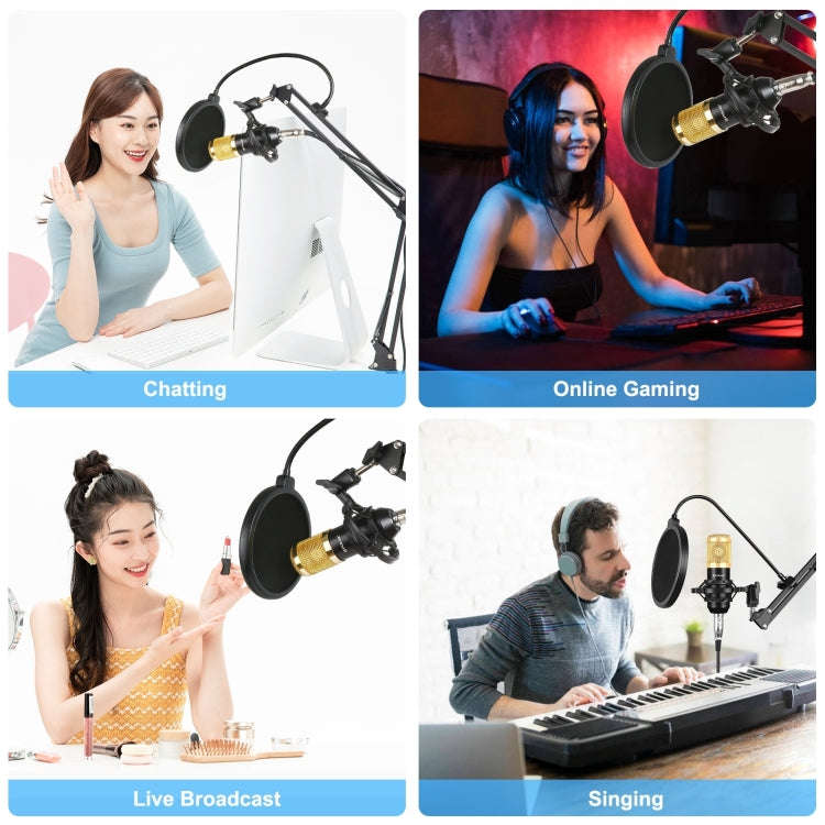PULUZ Condenser Microphone Studio Broadcast Professional Singing Microphone Kits with Suspension ...
