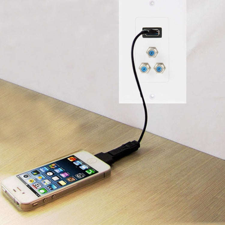 USB 2.0 Female Plug + 3 F Female Plugs Wall Plate Panel