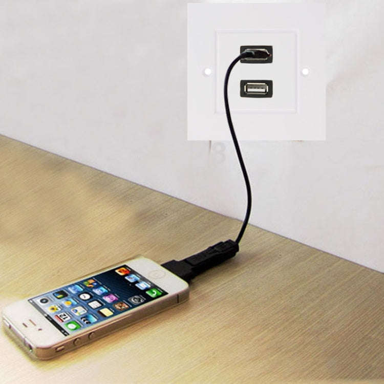 Dual USB 2.0 Female Plugs Home Wall Charger Plate Wall Plate Panel