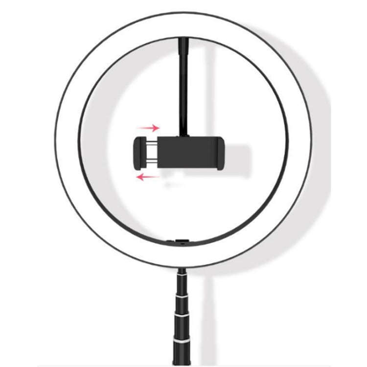 Portable Collapsible Studio-Level Professional Fill Light Mobile Phone Bracket LED Ring Light(Black)