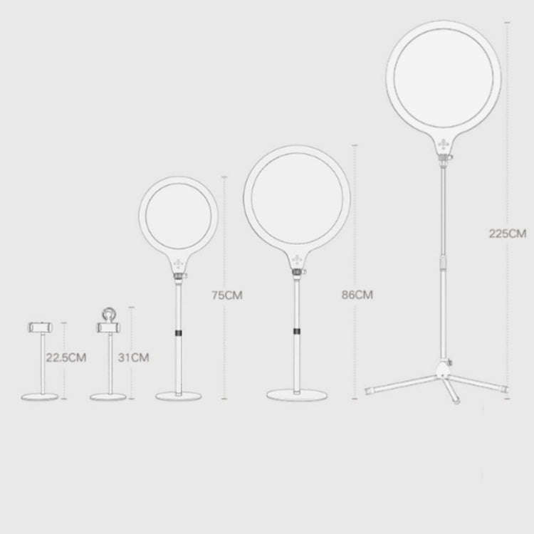 10 inch 26cm Live Broadcast Photography Desktop Beauty Fill Light Bracket, Style:Medium Version+B...