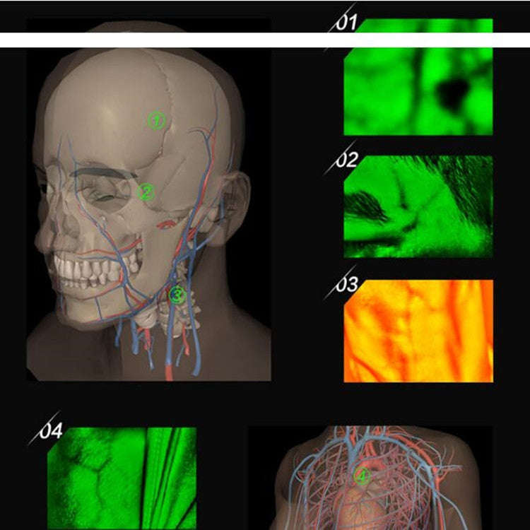 P2-1 Vascular Vein Display Inspection Camera