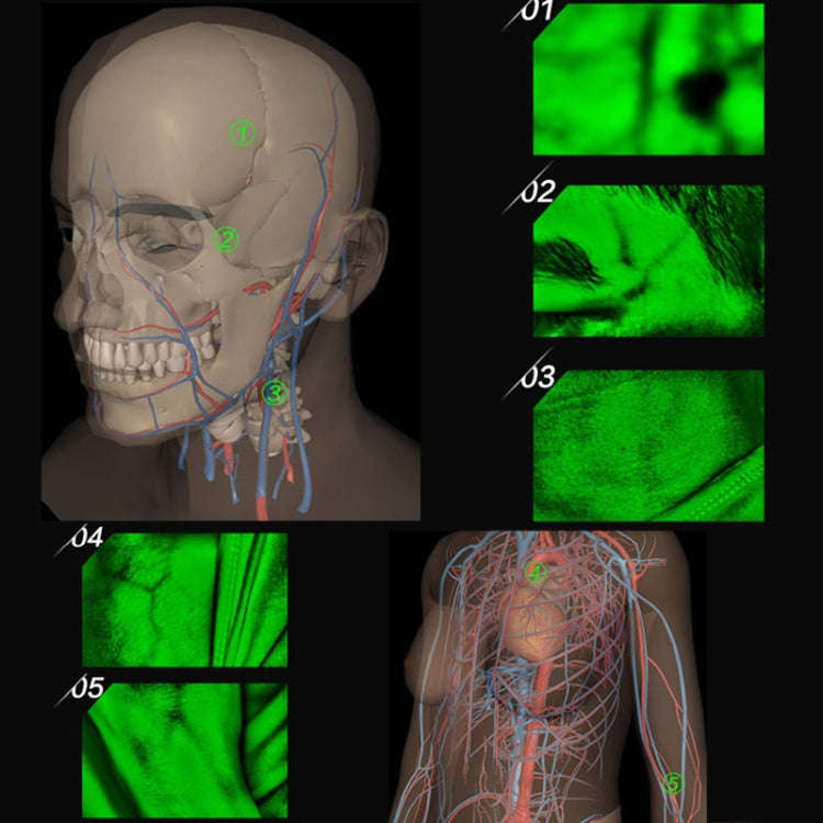 VF620 Infrared Vein Viewer -Desktop HD Adults Children Handy Efficiency Vein Locator